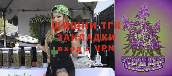 ECSTASY Алексин